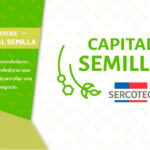 Palín Toys SpA: Capital Semilla Sercotec 2021